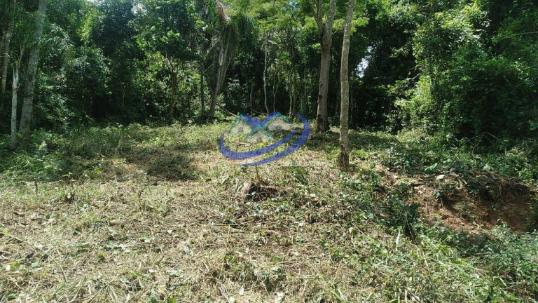 Imagem Terreno à Venda, 1.000 m² em Pau Arcado - Campo Limpo Paulista Imagem Terreno à Venda, 1.000 m² em Pau Arcado - Campo Limpo Paulista