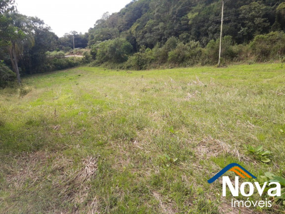 Imagem Imóvel à Venda, 120.000 m² em Linha Pirajá Baixa - Nova Petrópolis Imagem Imóvel à Venda, 120.000 m² em Linha Pirajá Baixa - Nova Petrópolis