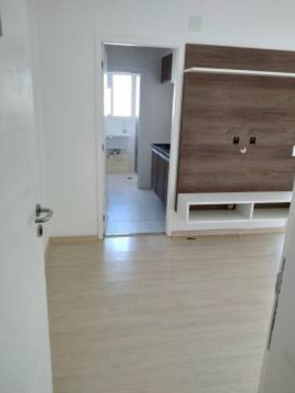 Imagem Apartamento com 2 Quartos à Venda, 65 m² em Vila Mariana - São Paulo Imagem Apartamento com 2 Quartos à Venda, 65 m² em Vila Mariana - São Paulo