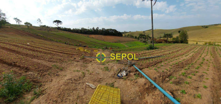 Imagem Terreno à Venda, 19.000 m² em Jardim Do Pinhal - Pinhalzinho Imagem Terreno à Venda, 19.000 m² em Jardim Do Pinhal - Pinhalzinho