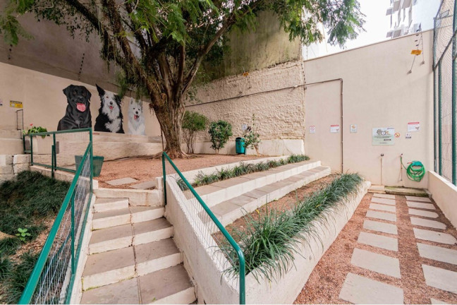 Imagem Imóvel com 3 Quartos à Venda, em Passo Da Areia - Porto Alegre Imagem Imóvel com 3 Quartos à Venda, em Passo Da Areia - Porto Alegre