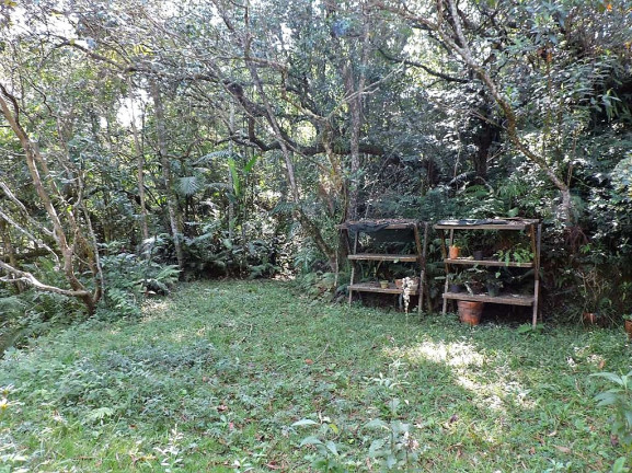 Imagem Casa com 3 Quartos à Venda, 378 m² em Chácaras Do Peroba - Jandira