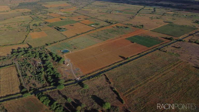Imagem Fazenda à Venda, 600.000 m² em Zona Rural - Irecê Imagem Fazenda à Venda, 600.000 m² em Zona Rural - Irecê