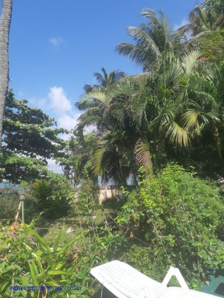 Imagem Casa com 4 Quartos à Venda, 1.000 m² em Itapuã - Salvador