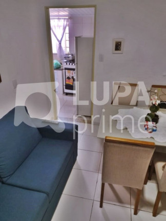 Imagem Casa com 8 Quartos à Venda, 128 m² em Vila Maria Alta - São Paulo