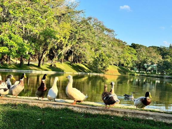 Imagem Terreno à Venda, 1.500 m² em Condomínio Vale Do Ouro - Ribeirão Das Neves Imagem Terreno à Venda, 1.500 m² em Condomínio Vale Do Ouro - Ribeirão Das Neves