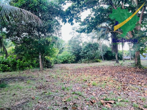 Imagem Terreno à Venda, em Guaiù - Santa Cruz Cabrália Imagem Terreno à Venda, em Guaiù - Santa Cruz Cabrália