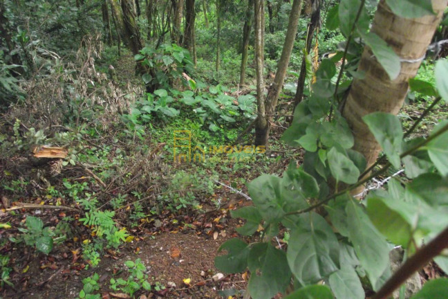 Imagem Terreno à Venda, 2.358 m² em Parque Alvorada - Santana De Parnaíba Imagem Terreno à Venda, 2.358 m² em Parque Alvorada - Santana De Parnaíba