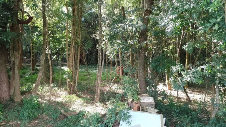 Imagem Terreno à Venda, 1.000 m² em Bairro Do Claro - Pilar Do Sul Imagem Terreno à Venda, 1.000 m² em Bairro Do Claro - Pilar Do Sul