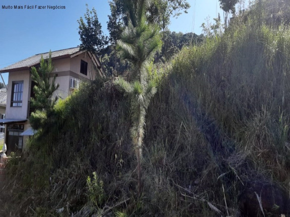 Terreno à Venda, 416 m² em Piá - Nova Petrópolis