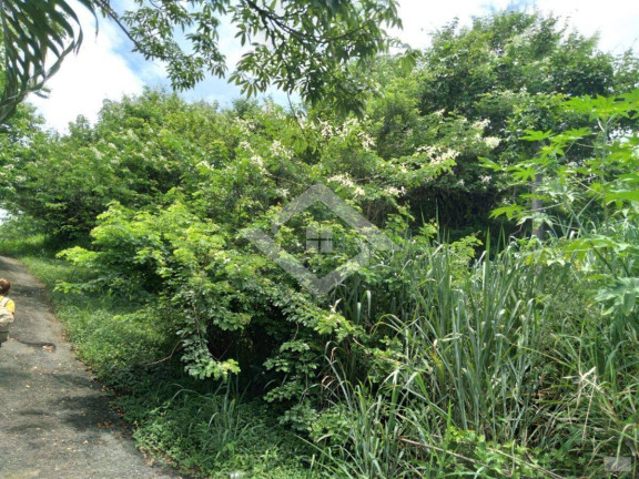 Imagem Terreno à Venda, 261 m² em Campo Grande - Rio De Janeiro Imagem Terreno à Venda, 261 m² em Campo Grande - Rio De Janeiro