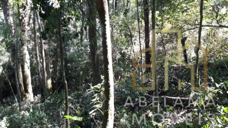 Imagem Terreno à Venda, 5.200 m² em Moreiras - Mairinque Imagem Terreno à Venda, 5.200 m² em Moreiras - Mairinque