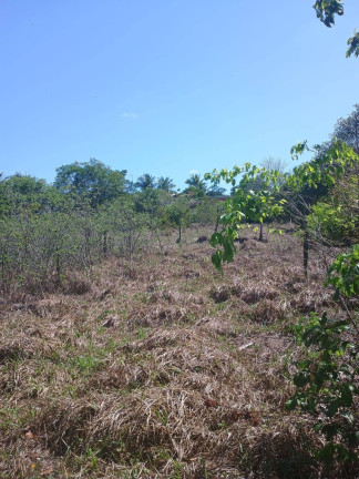 Imagem Terreno à Venda, 1.000 m² em Centro De Tibau Do Sul - Tibau Do Sul