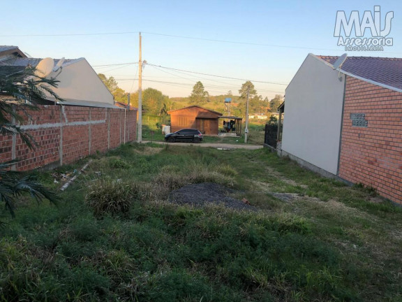 Imagem Terreno à Venda, em Lomba Grande - Novo Hamburgo Imagem Terreno à Venda, em Lomba Grande - Novo Hamburgo