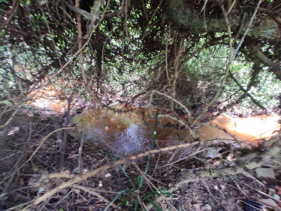 Imagem Chácara com 3 Quartos à Venda, 5.000 m² em Margens Da Raposo Tvares - Alambari Imagem Chácara com 3 Quartos à Venda, 5.000 m² em Margens Da Raposo Tvares - Alambari