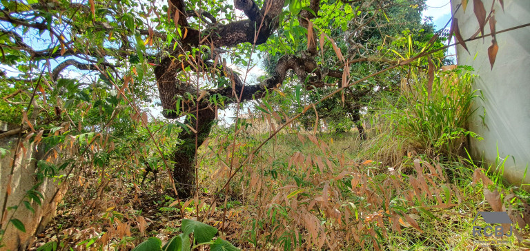 Imagem Terreno à Venda, 438 m² em Fernão Dias - Esmeraldas Imagem Terreno à Venda, 438 m² em Fernão Dias - Esmeraldas