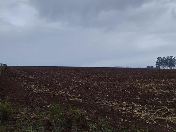 Imagem Fazenda à Venda, 76 m² em Rural - Taquarituba Imagem Fazenda à Venda, 76 m² em Rural - Taquarituba