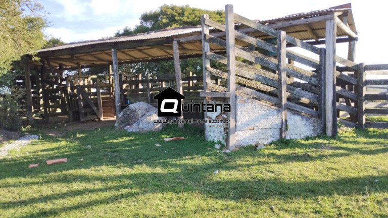 Imagem Imóvel com 3 Quartos à Venda, 760.000 m² em 3ºdistrito Boa Vista - Canguçu