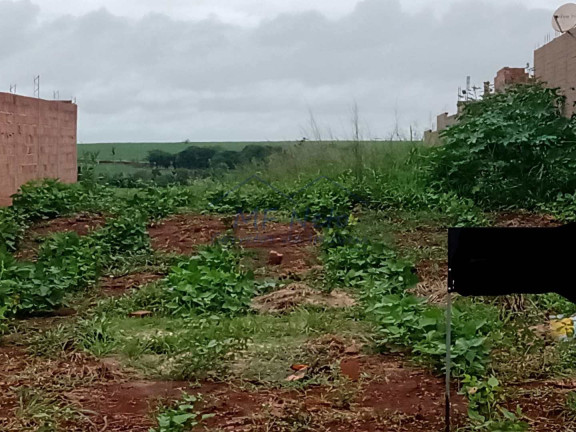 Imagem Terreno à Venda, 274 m² em Terrazul - Pirassununga Imagem Terreno à Venda, 274 m² em Terrazul - Pirassununga