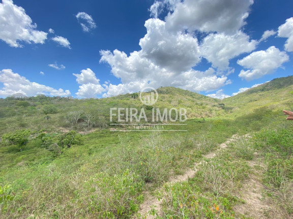 Imagem Fazenda à Venda, 492.228 m² em Ipuaçu / Santa Rosa - Feira De Santana Imagem Fazenda à Venda, 492.228 m² em Ipuaçu / Santa Rosa - Feira De Santana