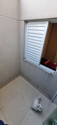 Imagem Apartamento com 2 Quartos à Venda, 46 m² em Vila Mazzei - São Paulo Imagem Apartamento com 2 Quartos à Venda, 46 m² em Vila Mazzei - São Paulo