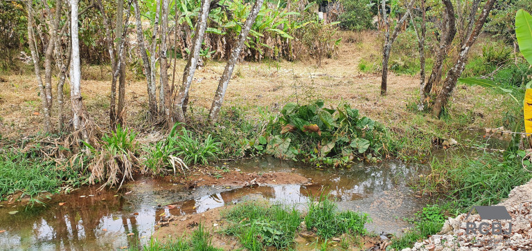 Imagem Terreno à Venda, 1.533 m² em Andiroba - Esmeraldas