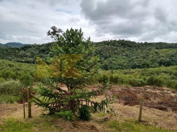 Imagem Fazenda à Venda, 64.288 m² em Barra Avencal - Rio Dos Cedros Imagem Fazenda à Venda, 64.288 m² em Barra Avencal - Rio Dos Cedros