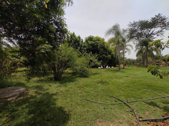 Imagem Chácara com 3 Quartos à Venda, 5.000 m² em Margens Da Raposo Tvares - Alambari Imagem Chácara com 3 Quartos à Venda, 5.000 m² em Margens Da Raposo Tvares - Alambari