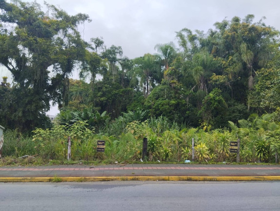 Imagem Terreno à Venda, 1.006 m² em Centro - Araquari Imagem Terreno à Venda, 1.006 m² em Centro - Araquari