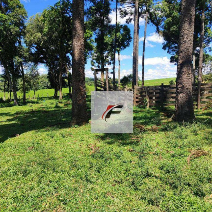 Imagem Chácara com 2 Quartos à Venda, 93.732 m² em Centro - Lapa