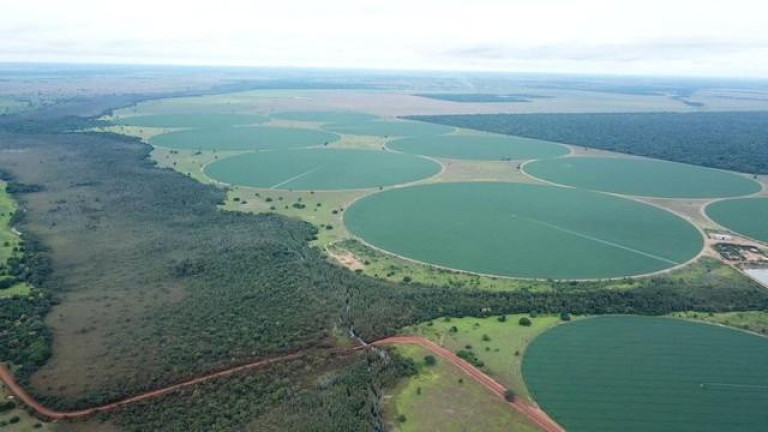 Imagem Fazenda à Venda, 3.000 m² em Zona Rural - Jussara Imagem Fazenda à Venda, 3.000 m² em Zona Rural - Jussara