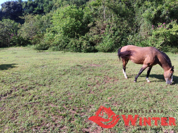 Imagem Chácara à Venda, 21.582 m² em Feliz Imagem Chácara à Venda, 21.582 m² em Feliz