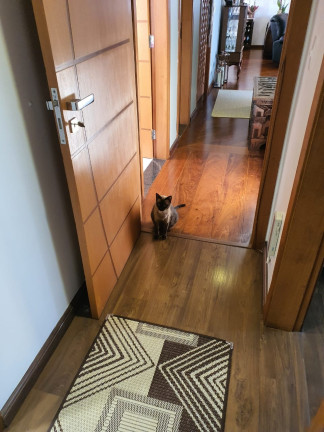 Imagem Imóvel com 4 Quartos à Venda, 190 m² em Vila Andrade - São Paulo Imagem Imóvel com 4 Quartos à Venda, 190 m² em Vila Andrade - São Paulo