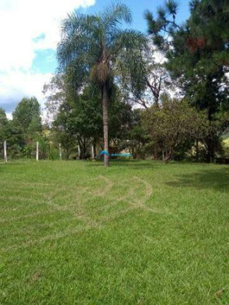 Imagem Imóvel com 3 Quartos à Venda, 145 m² em Outeiro Das Paineiras (botujuru) - Campo Limpo Paulista Imagem Imóvel com 3 Quartos à Venda, 145 m² em Outeiro Das Paineiras (botujuru) - Campo Limpo Paulista