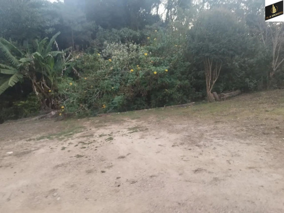 Imagem Imóvel com 3 Quartos à Venda, 48.400 m² em Colônia Murici - São José Dos Pinhais