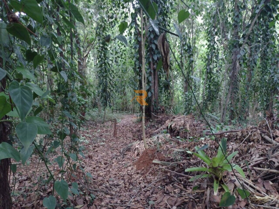 Imagem Casa de Condomínio com 3 Quartos à Venda, 200 m² em Campinho - Lagoa Santa Imagem Casa de Condomínio com 3 Quartos à Venda, 200 m² em Campinho - Lagoa Santa