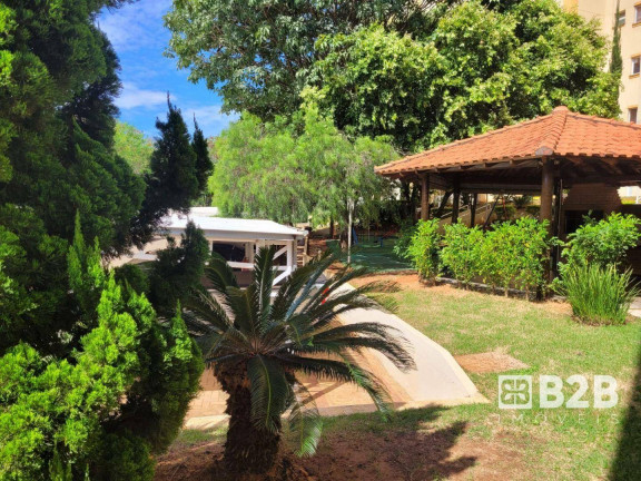 Imagem Apartamento com 2 Quartos à Venda, 47 m² em Edifício Campo Limpo - Bauru Imagem Apartamento com 2 Quartos à Venda, 47 m² em Edifício Campo Limpo - Bauru