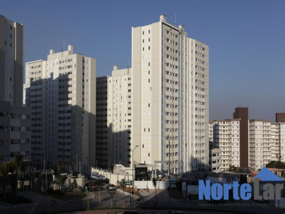 Imagem Apartamento com 2 Quartos à Venda, 43 m² em Jardim íris - São Paulo