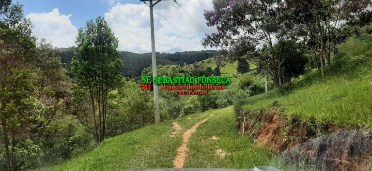 Imagem Chácara à Venda, 24 m² em Centro - São Luíz Do Paraitinga Imagem Chácara à Venda, 24 m² em Centro - São Luíz Do Paraitinga