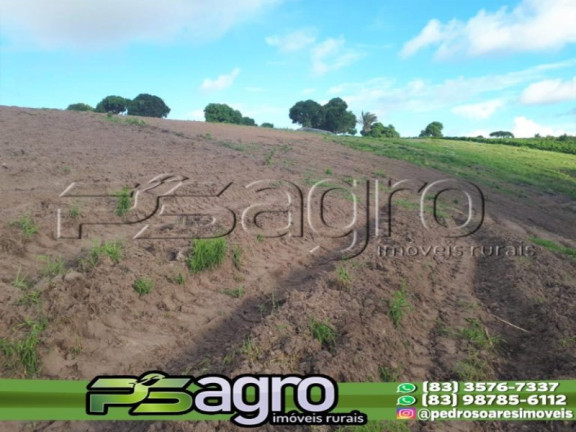 Imagem Terreno à Venda, 80.000 m² em Cidade Balneária Novo Mundo I - Conde Imagem Terreno à Venda, 80.000 m² em Cidade Balneária Novo Mundo I - Conde