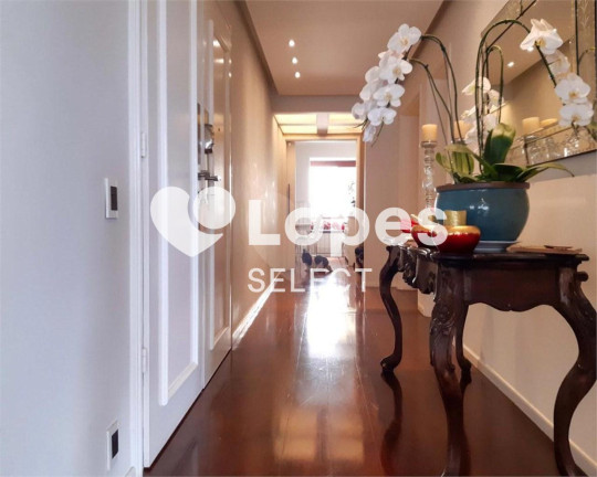 Imagem Apartamento com 6 Quartos à Venda, 450 m² em Cambuí - Campinas