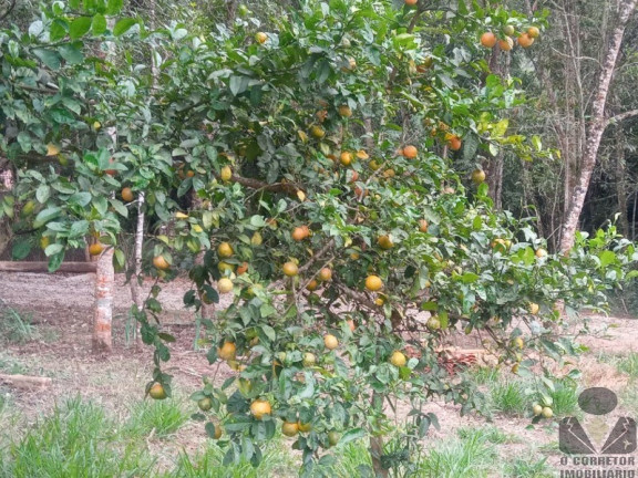 Imagem Imóvel com 2 Quartos à Venda, 33.000 m² em Aranha (brumadinho) - Brumadinho