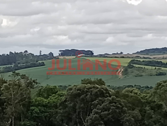 Imagem Chácara à Venda, 24.400 m² em Mafra Imagem Chácara à Venda, 24.400 m² em Mafra
