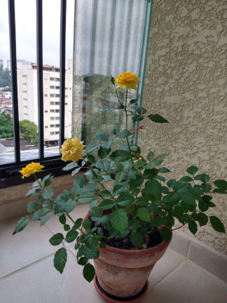 Imagem Imóvel com 2 Quartos à Venda, 58 m² em Taboão - São Bernardo Do Campo Imagem Imóvel com 2 Quartos à Venda, 58 m² em Taboão - São Bernardo Do Campo