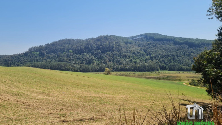 Imagem Imóvel com 3 Quartos à Venda,  em Arara Dos Pereiras - Bragança Paulista