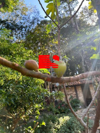 Imagem Casa de Condomínio com 1 Quarto à Venda, 140 m² em Condomínio Retiro Do Chalé - Brumadinho