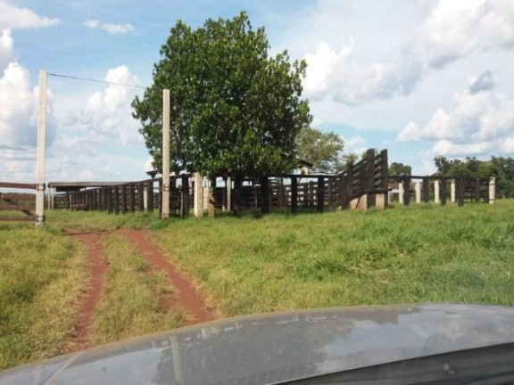 Imagem Fazenda à Venda, 3.700.000 m² em Zona Rural - Acorizal