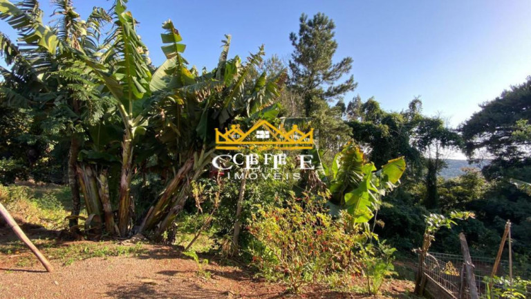 Sala Comercial à Venda, 20 m² em Zona Rural - Três Coroas