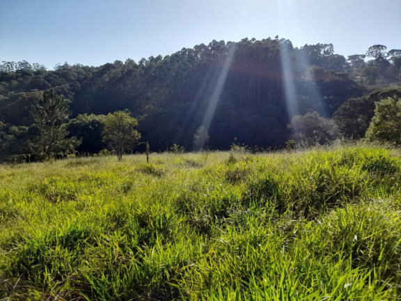 Casa à Venda,  em Centro - Ibiúna