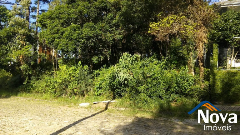 Imagem Imóvel à Venda, 750 m² em Juriti - Nova Petrópolis